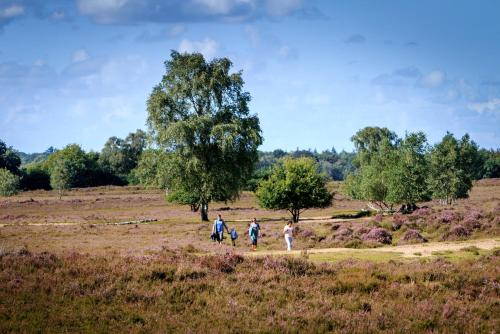 Cedar Cottage Veluwe - image 9