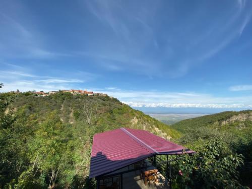 丽雅斯旅馆 丽雅斯旅馆