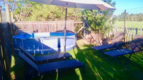 Forest Edge Forest Edge