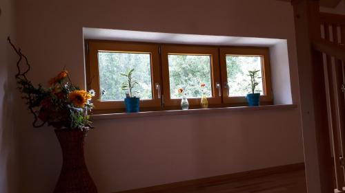 Iekārtas, Ferienhaus Buxbaum in Arbesbach