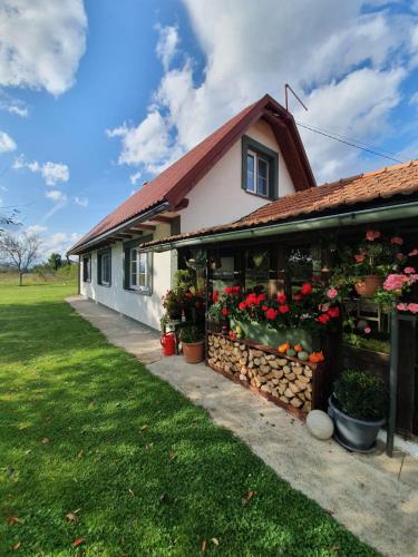 Village House Flowerside - Apartment - Gospić