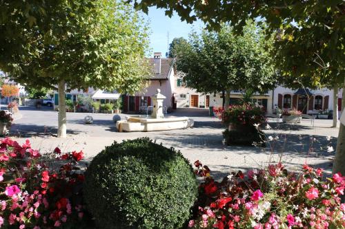 Auberge Au Lion d'Or - image 10