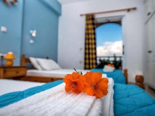  Calypso Studios in Ammoudi