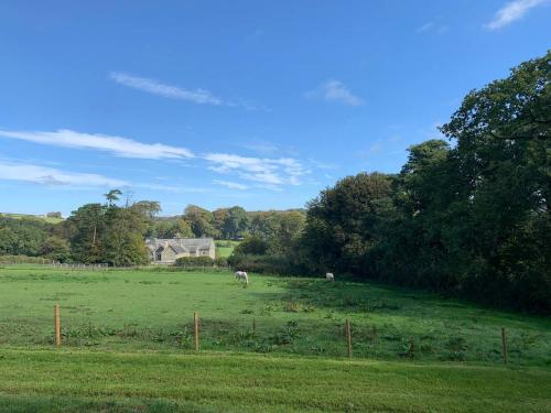 5* Shep Hut with far reaching views of Devon - image 8