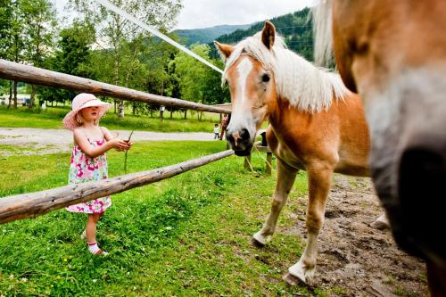 Happy Camp Mobile Homes in Camping Bella Austria