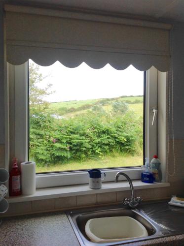 Pant Glas in 卡迪簡