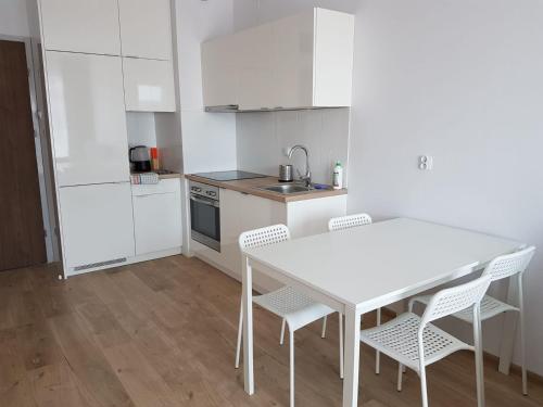 Kuchnia, Apartamenty Bursztynowe w Kolobrzegu Sun&Relax in Kołobrzeg