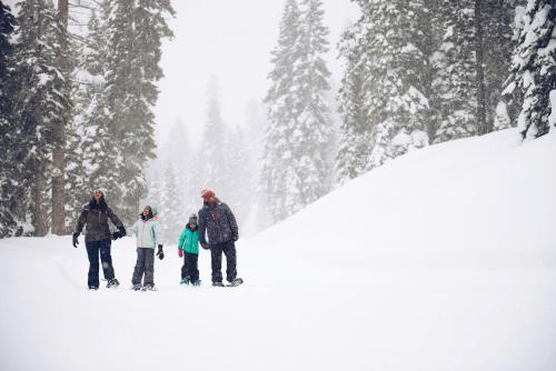 Northstar Village 237 - image 2