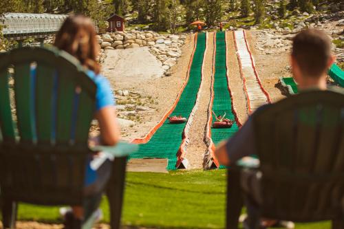 Zalanta 326 - image 6