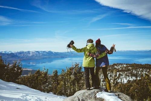 Zalanta 326 - image 11