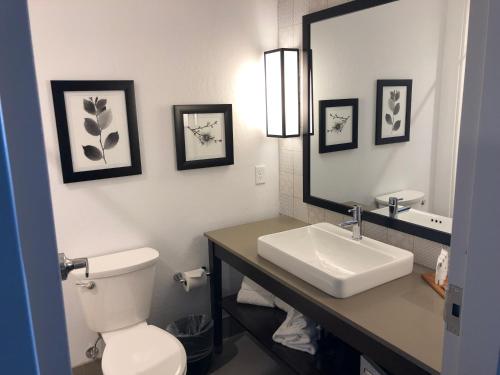 Country Inn & Suites by Radisson Flagstaff Downtown AZ - image 4