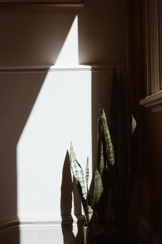 The Jensen Potts Point - image 8