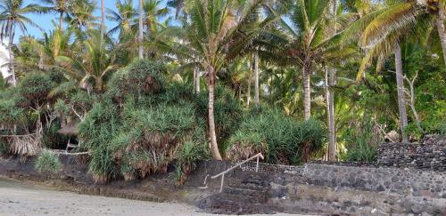 Beach, IDA'S Homestay near The Hungry Crocodile