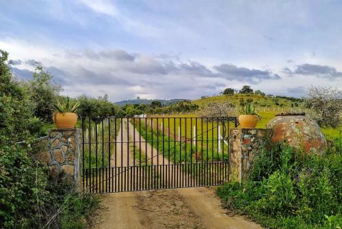 Finca La Palmera Constantina