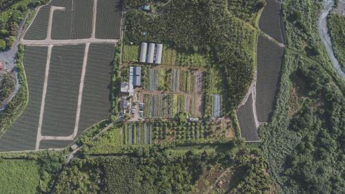 Hakka Eco-farm 雅歌園民宿食農教育有機農場