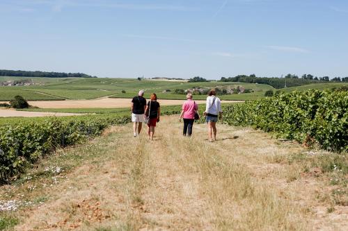 Maison d'hôtes La Poterne - image 8