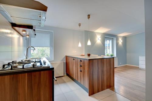 One-Bedroom Apartment image 6