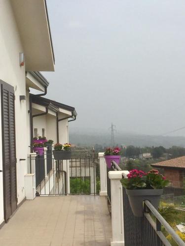 Orchidea dell'Etna - image 7