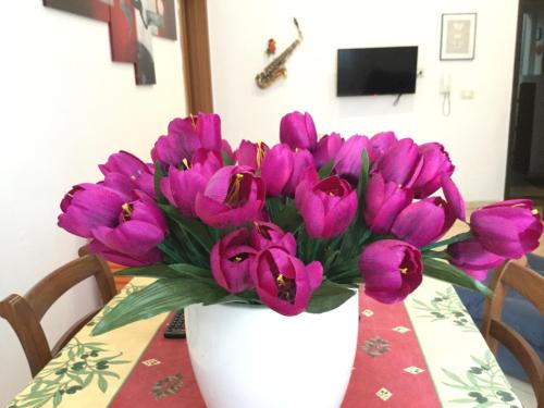  New Alex Home. Al Teatro. in Livorno