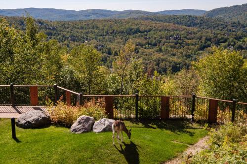 Equinoxe by Rendez-Vous Mont-Tremblant Room Type - Equinoxe 172-5