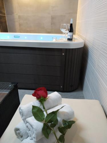 Hotel Anna Nejdek