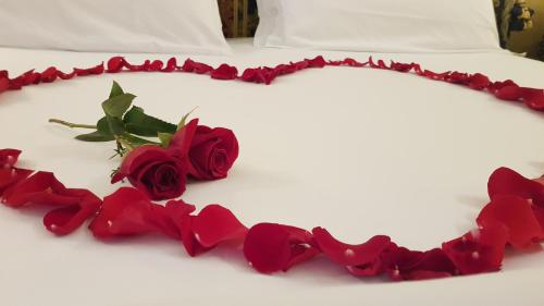 Ca' Bragadin e Carabba - image 7