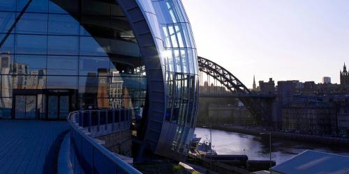 Riding Farm - image 4