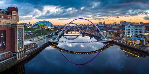 Riding Farm - image 7