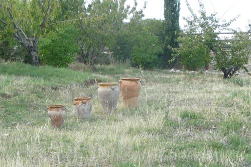 Cabañas Imagina