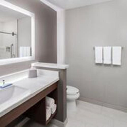 Holiday Inn Express And Suites Odessa I-20 By IHG - 화장실
