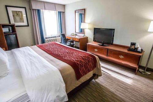 Comfort Inn Schererville