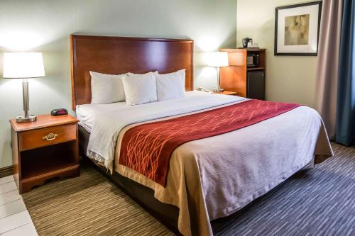 Comfort Inn Schererville