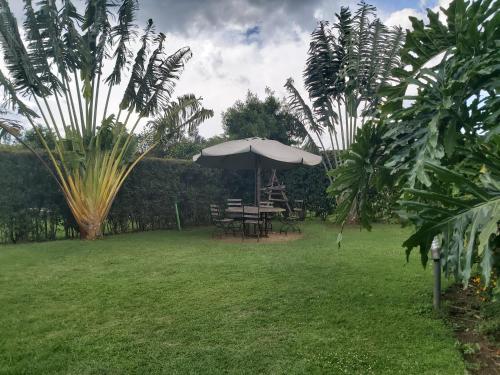 Dārzs, Sahara Gardens Bomet in Bomet