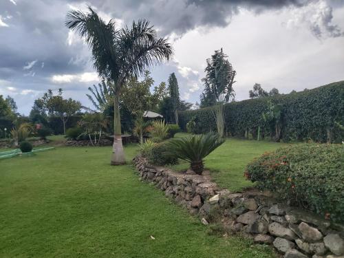 Sahara Gardens Bomet