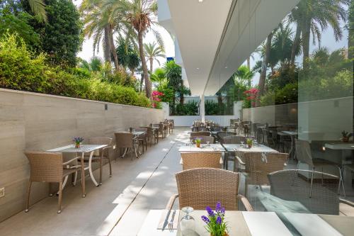 Globales Panam – Palma Nova, NJ