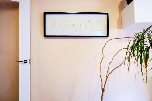 Three Bedroom Apartment in Sants, Barcelone (photo 8)