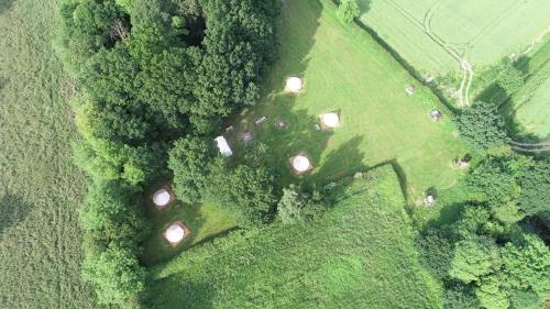 Gorsey Meadow, Norfolk