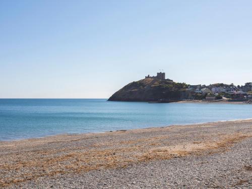 Maelgwyn - image 11