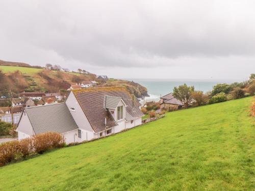 Spinnaker, Cadgwith