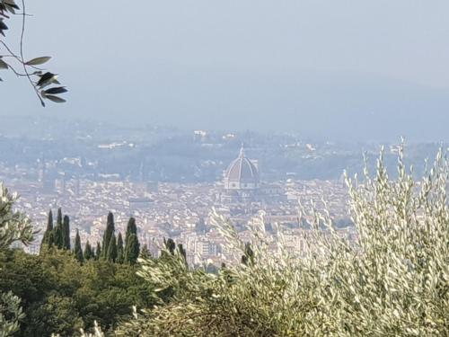 Fattoria di Maiano