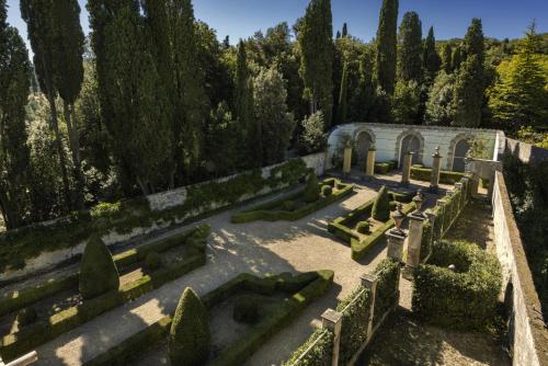 Fattoria Torre a Cona