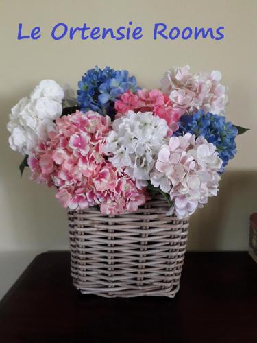 Le Ortensie Rooms chambre d'hôte Sernio