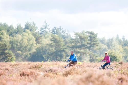 Hof van Putten - image 11