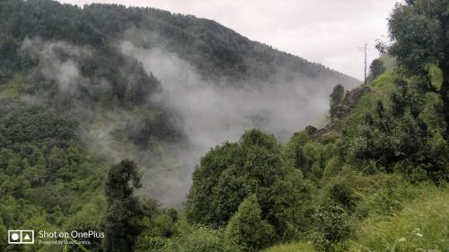 Ara Camps, McLeod Ganj (fotografie 8)