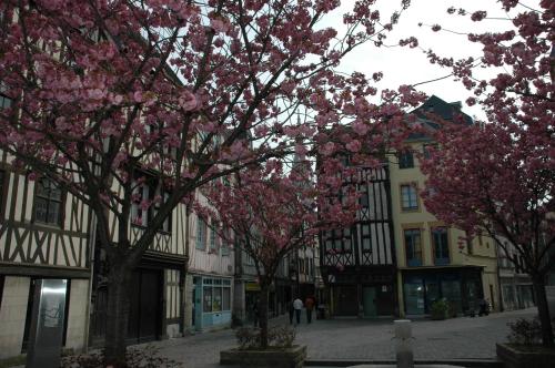 Rouen Quartier St Maclou