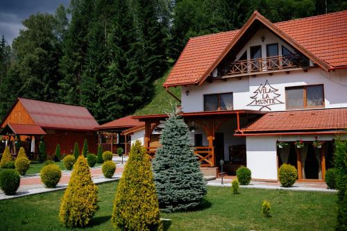 Casa la munte - Accommodation - Bilbor