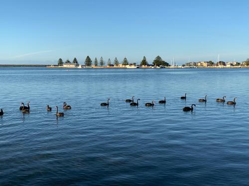 Boat Harbour Jetty B&B