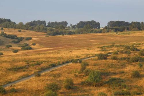  Terrasses de Malmedy Chalet 132 in Malmedy