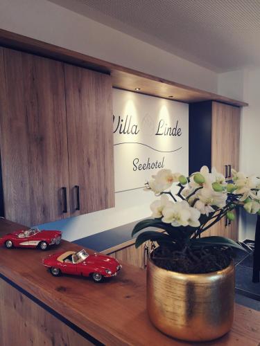 Seehotel Villa Linde, Bodman