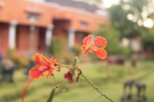 Chettinadu Court- HERITAGE VIEW